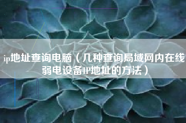 ip地址查询电脑（几种查询局域网内在线弱电设备IP地址的方法）
