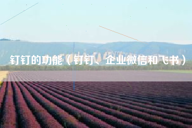 钉钉的功能（钉钉、企业微信和飞书）