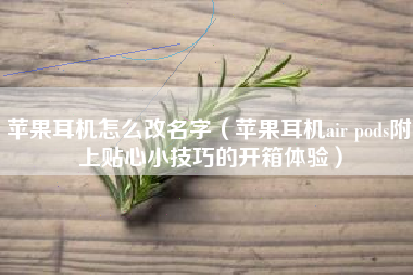 苹果耳机怎么改名字（苹果耳机air pods附上贴心小技巧的开箱体验）