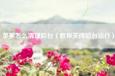 苹果怎么清理后台（教你关闭后台运行）