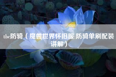 tbc防骑（魔兽世界怀旧服:防骑单刷配装讲解）