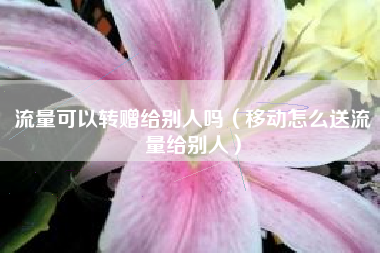 流量可以转赠给别人吗（移动怎么送流量给别人）