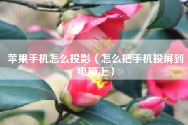苹果手机怎么投影（怎么把手机投屏到电脑上）