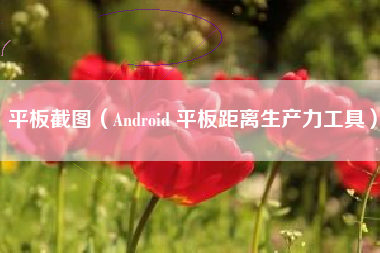 平板截图（Android 平板距离生产力工具）