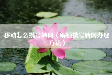 移动怎么携号转网（解锁携号转网办理方法）