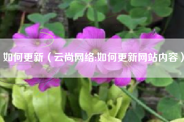 如何更新（云尚网络:如何更新网站内容）