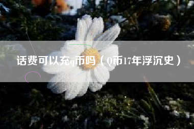 话费可以充q币吗（Q币17年浮沉史）