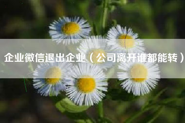 企业微信退出企业（公司离开谁都能转）