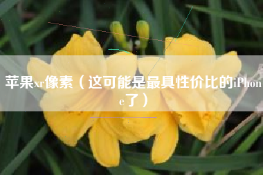 苹果xr像素（这可能是最具性价比的iPhone了）