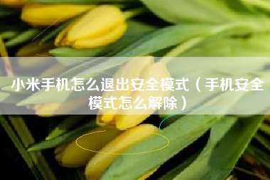 小米手机怎么退出安全模式（手机安全模式怎么解除）