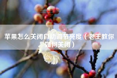苹果怎么关闭自动调节亮度（老王教你如何关闭）