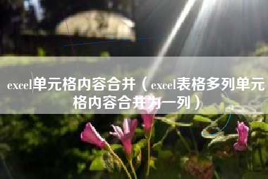 excel单元格内容合并（excel表格多列单元格内容合并为一列）