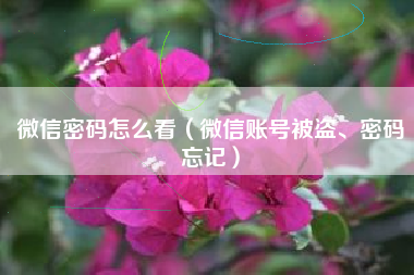 微信密码怎么看（微信账号被盗、密码忘记）