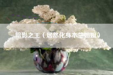 暗影之王（居然化身木兰姐姐）