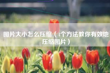 图片大小怎么压缩（4个方法教你有效地压缩图片）