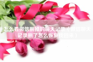 怎么看微信删掉的聊天记录（微信聊天记录删了怎么恢复找回来）