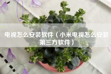 电视怎么安装软件（小米电视怎么安装第三方软件）