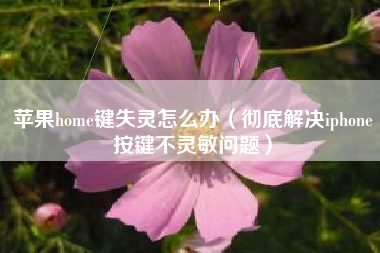 苹果home键失灵怎么办（彻底解决iphone按键不灵敏问题）