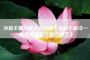 冰箱不制冷是什么问题（冰箱不制冷一般都是这几个地方坏了）