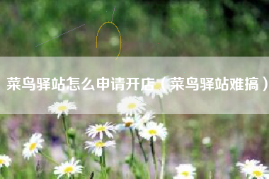 菜鸟驿站怎么申请开店（菜鸟驿站难搞）