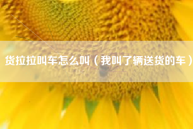 货拉拉叫车怎么叫（我叫了辆送货的车）
