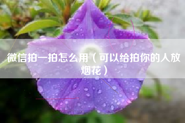 微信拍一拍怎么用（可以给拍你的人放烟花）