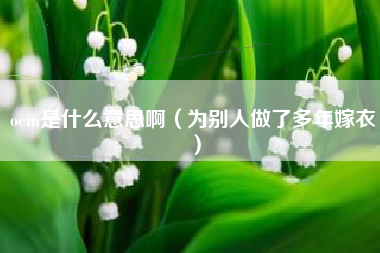 oem是什么意思啊（为别人做了多年嫁衣）