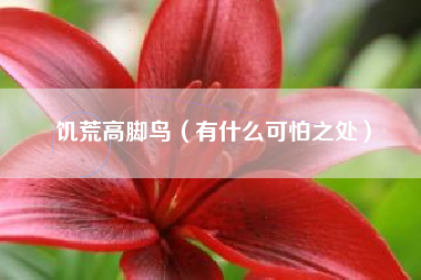 饥荒高脚鸟（有什么可怕之处）