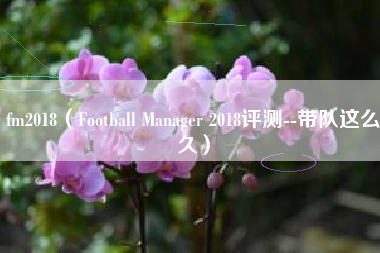 fm2018（Football Manager 2018评测--带队这么久）