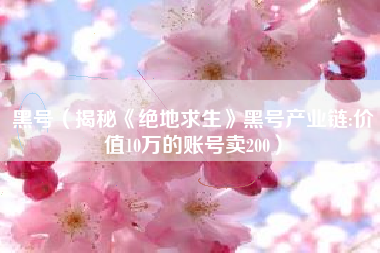 黑号（揭秘《绝地求生》黑号产业链:价值10万的账号卖200）