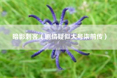 暗影刺客（剧情疑似大号柒前传）