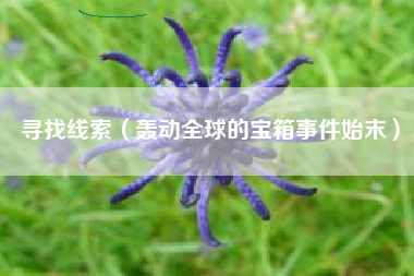 寻找线索（轰动全球的宝箱事件始末）