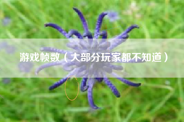 游戏帧数（大部分玩家都不知道）