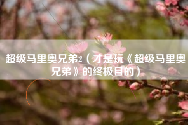 超级马里奥兄弟2（才是玩《超级马里奥兄弟》的终极目的）