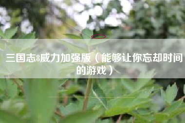 三国志8威力加强版（能够让你忘却时间的游戏）