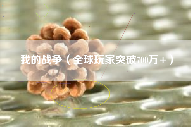我的战争（全球玩家突破700万+）