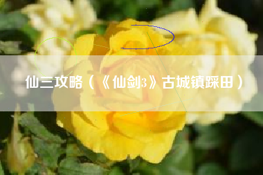 仙三攻略（《仙剑3》古城镇踩田）