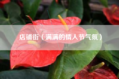 店铺街（满满的情人节气氛）
