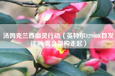汤姆克兰西幽灵行动（英特尔12900K首发评测:混合架构走起）