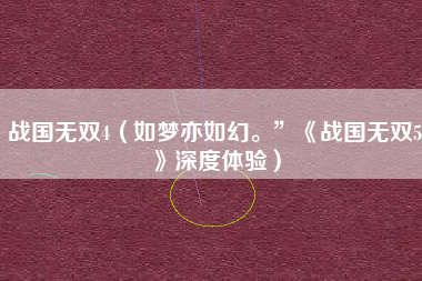 战国无双4（如梦亦如幻。”《战国无双5》深度体验）
