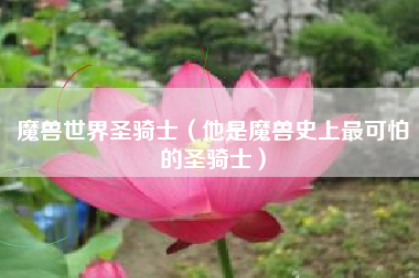 魔兽世界圣骑士（他是魔兽史上最可怕的圣骑士）