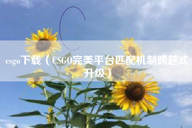 csgo下载（CSGO完美平台匹配机制跨越式升级）