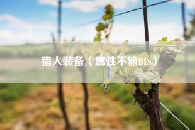 猎人装备（属性不输BIS）