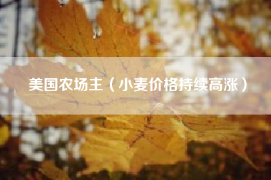 美国农场主（小麦价格持续高涨）
