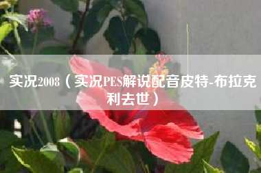 实况2008（实况PES解说配音皮特-布拉克利去世）