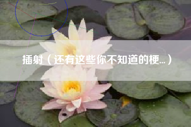 插射（还有这些你不知道的梗...）