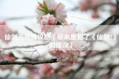 仙剑三外传攻略（原来是犯了《仙剑2》的错误）