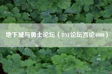 地下城与勇士论坛（DNF论坛言论4000）