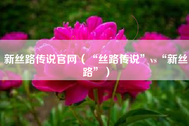 新丝路传说官网（“丝路传说”vs“新丝路”）