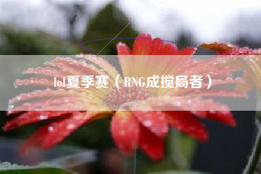 lol夏季赛（RNG成搅局者）
